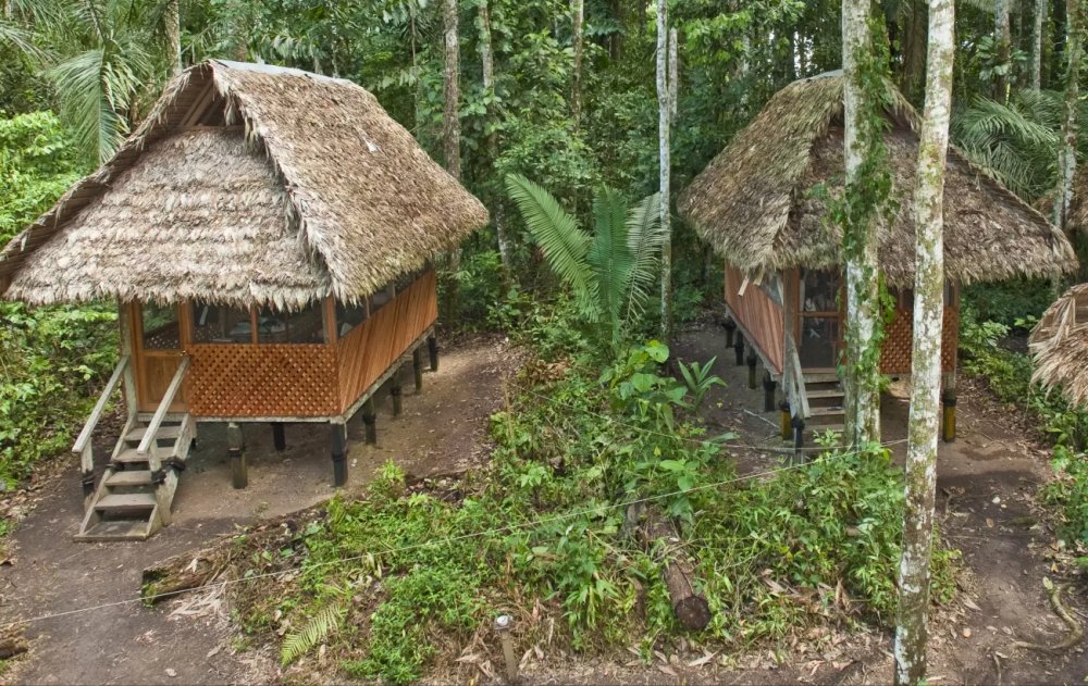 Eco-lodge accommodation in Manu National Park - Amazon jungle lodge
