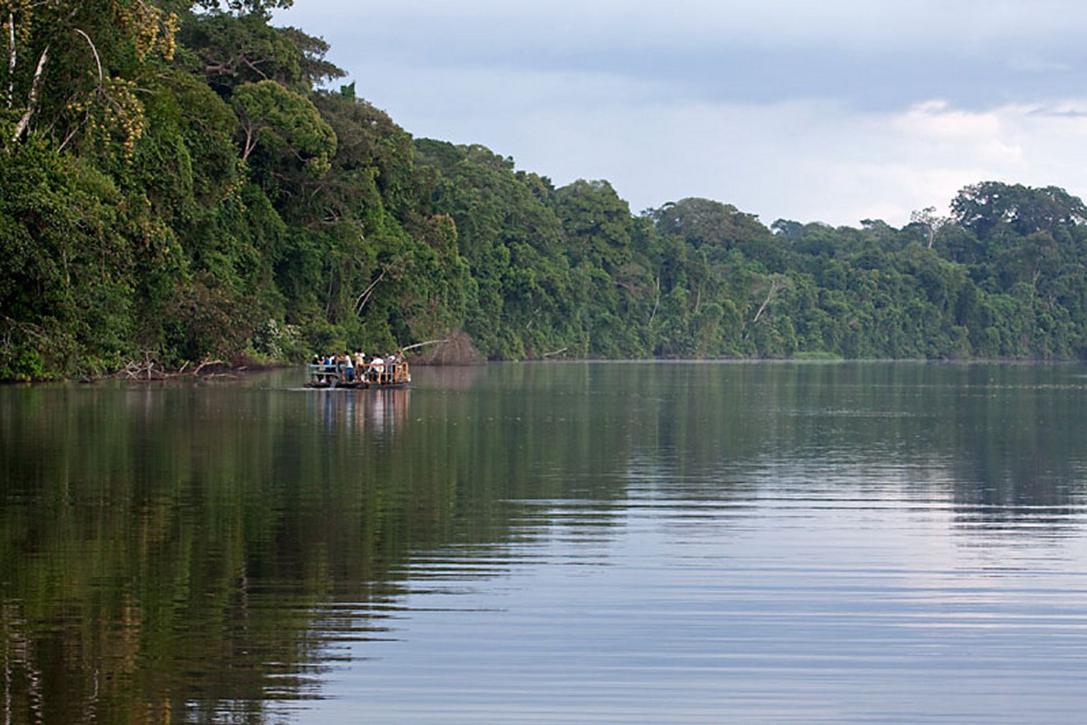Pristine oxbow lake in Manu Reserved Zone, prime habitat for giant otters