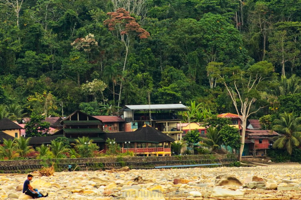 Manu Birdwatching 7 Days Tour