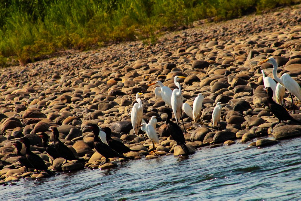 Birding group descending from Andes to Amazon