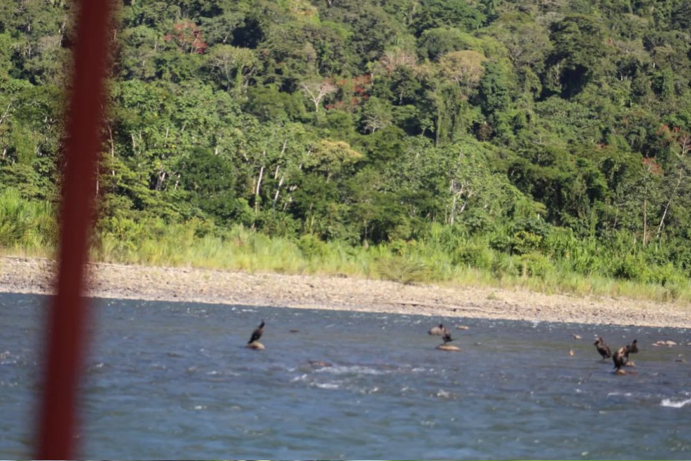 Ecological Adventure in Manu 5 Days Tour