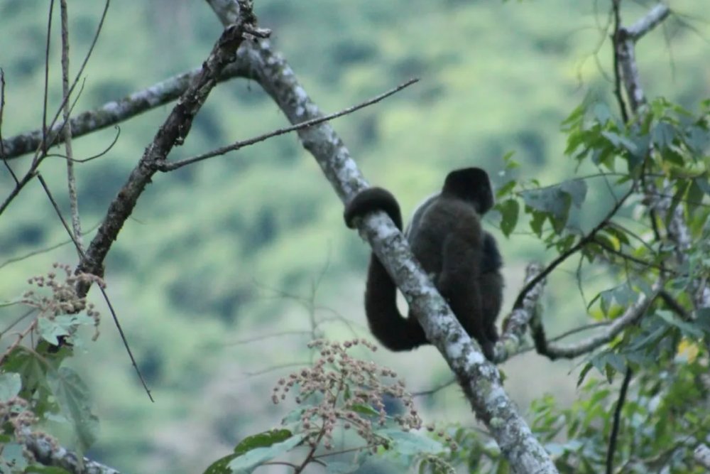 Manu National Park Tour 5 Days Tour