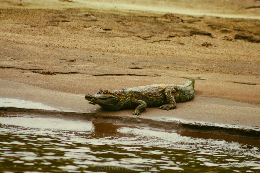 Manu Reserve Zone 6 Days Tour