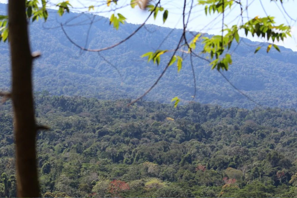 Manu Reserve Zone 7 Days Tour