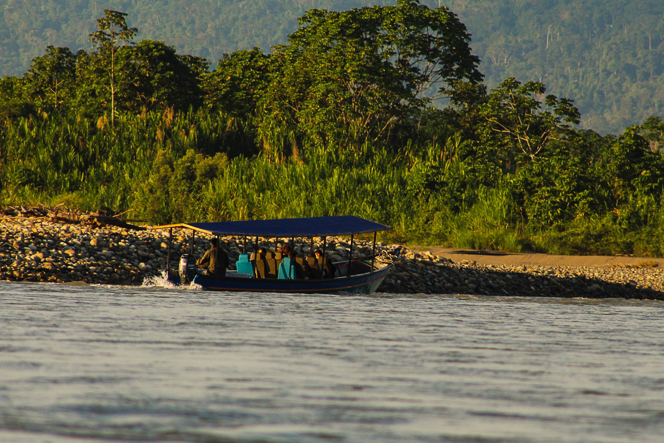 Amazon Rainforest Expedition 4 Days Tour